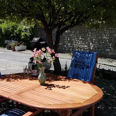 Casa Orchidea *