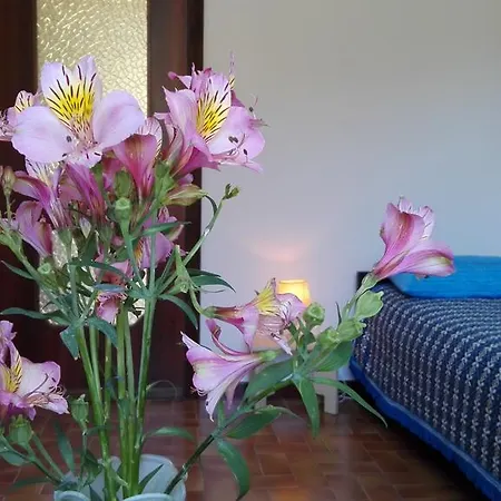 Casa Orchidea * 因佩里亚